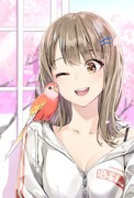 アキクサインコとお家でお花見