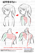個人メモ：僧帽筋と肩甲骨