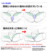 個人メモ：股間回りの構造