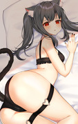 黒猫