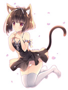 黒猫さん