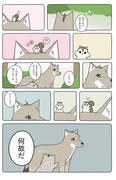 【Hush Hush】あの動物漫画を楽しんでもらえるように