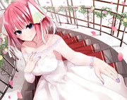 june bride【五等分の花嫁】