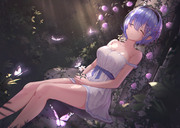 Sleeping Beauty Rem