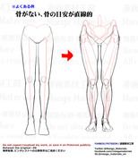 個人メモ：膝周りの凹凸と骨
