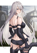 A2