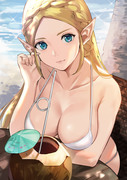 Summer Zelda BoTW