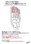 日本人の足の指は関節が少ない！？