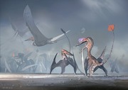 Pterosauria|翼龙目