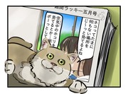 見てる猫(2/2)