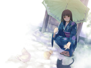 猫と日傘