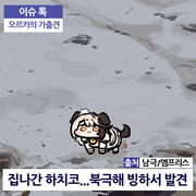 집 나간 하치코