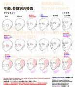 個人メモ・顔の骨格知識と立体的なデフォルメ