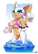 Rouge's Summer