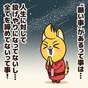 願い事がある人に贈るエール！