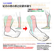 個人メモ：足首の位置