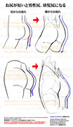 個人メモ：お尻