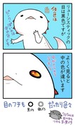 【ウパだより番外編】