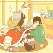 ねこ部屋