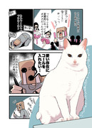 白い猫と暮らしている漫画③
