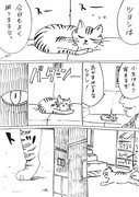 猫は真夜中に推しを語る