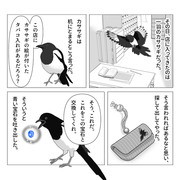 カササギと煙草入れの話