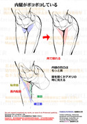 個人メモ：内腿