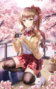 桜