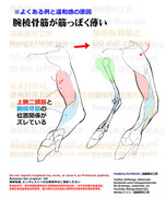 個人メモ：腕橈骨筋