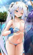 Bikini Dargon vei~