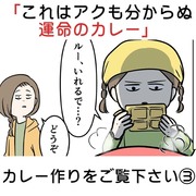 「これはアクも分からぬ運命のカレー」なカレー作りをご覧下さい③