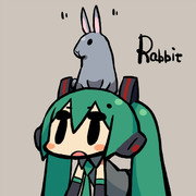 Rabbit