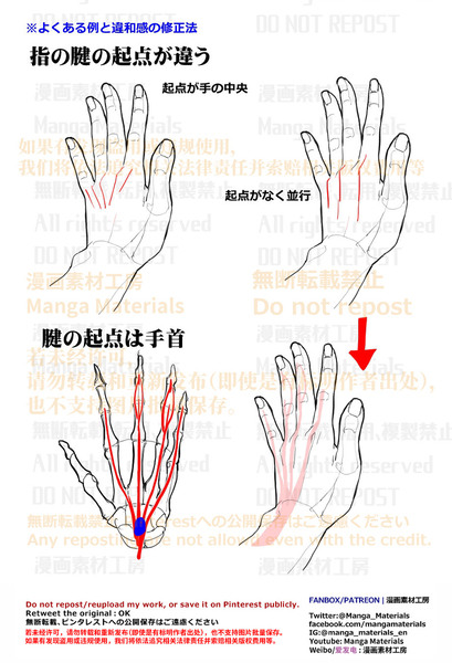 個人メモ：手の基本・指の腱