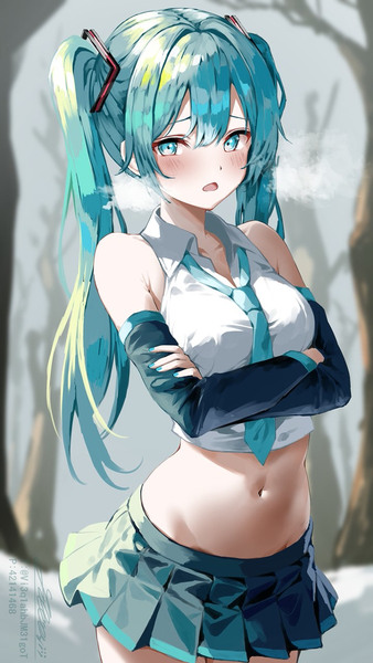 初音ミクちゃん