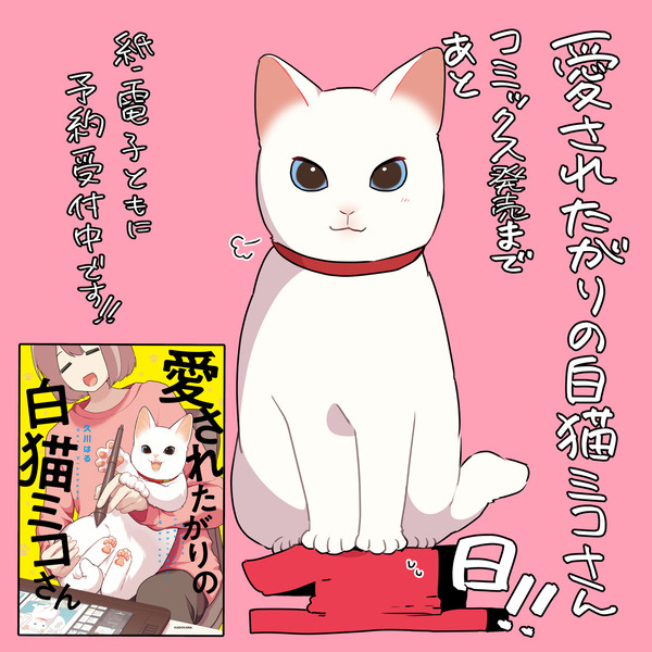 『愛されたがりの白猫ミコさん』発売まであと1日！