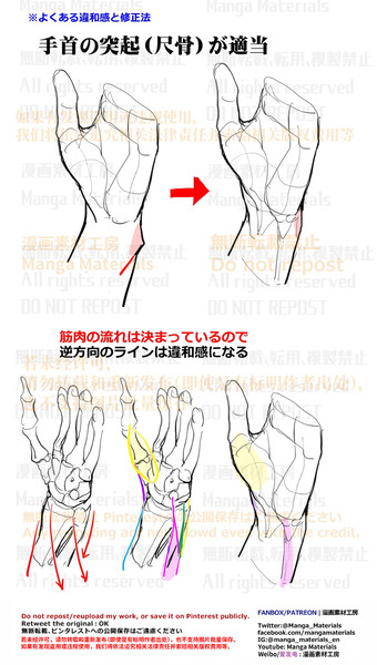 個人メモ：手首の突起（尺骨）