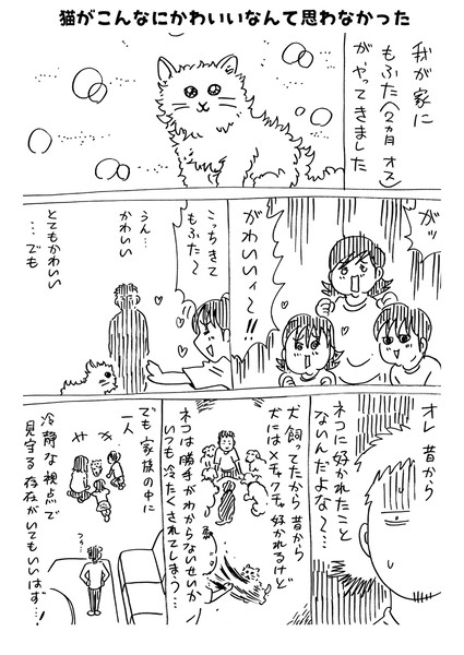 猫がうちに来たばかりの頃のこと