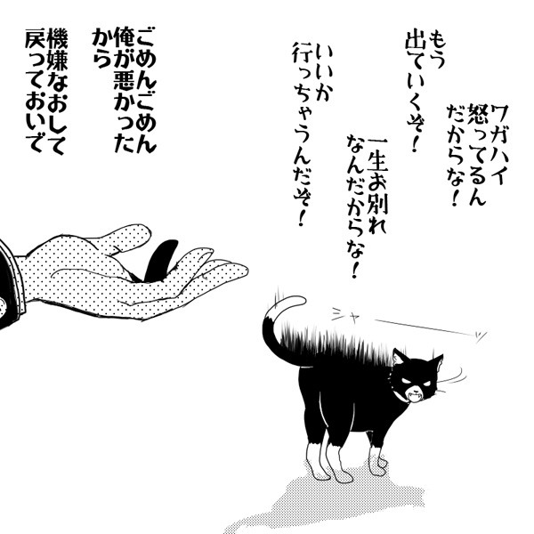 【P5】猫との正しい付き合い方
