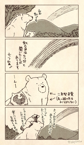 クマとたぬき　log3