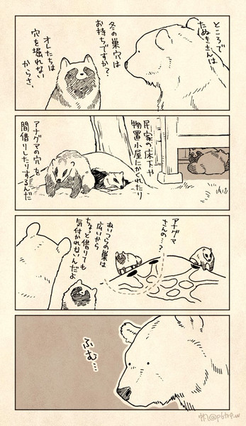 クマとたぬき　log5