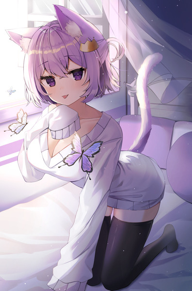 紫色猫 - pixiv年鑑(β)