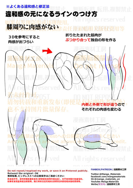 個人メモ：膝周りの肉感