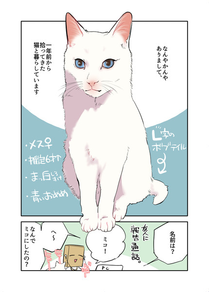 白い猫と暮らしている漫画