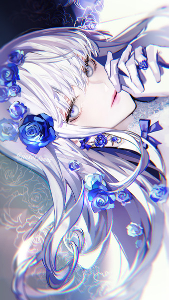 Blue rose