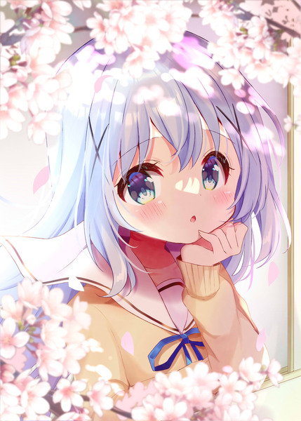 桜とチノ