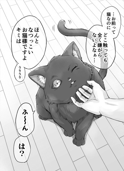 独占欲が強すぎるヤンデレ飼い猫ちゃん ２